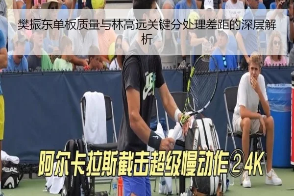 樊振东单板质量与林高远关键分处理差距的深层解析 - YAXING
